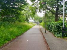 Cycleway next to Europaweg, lots of greenery and very pleasant to cycle along