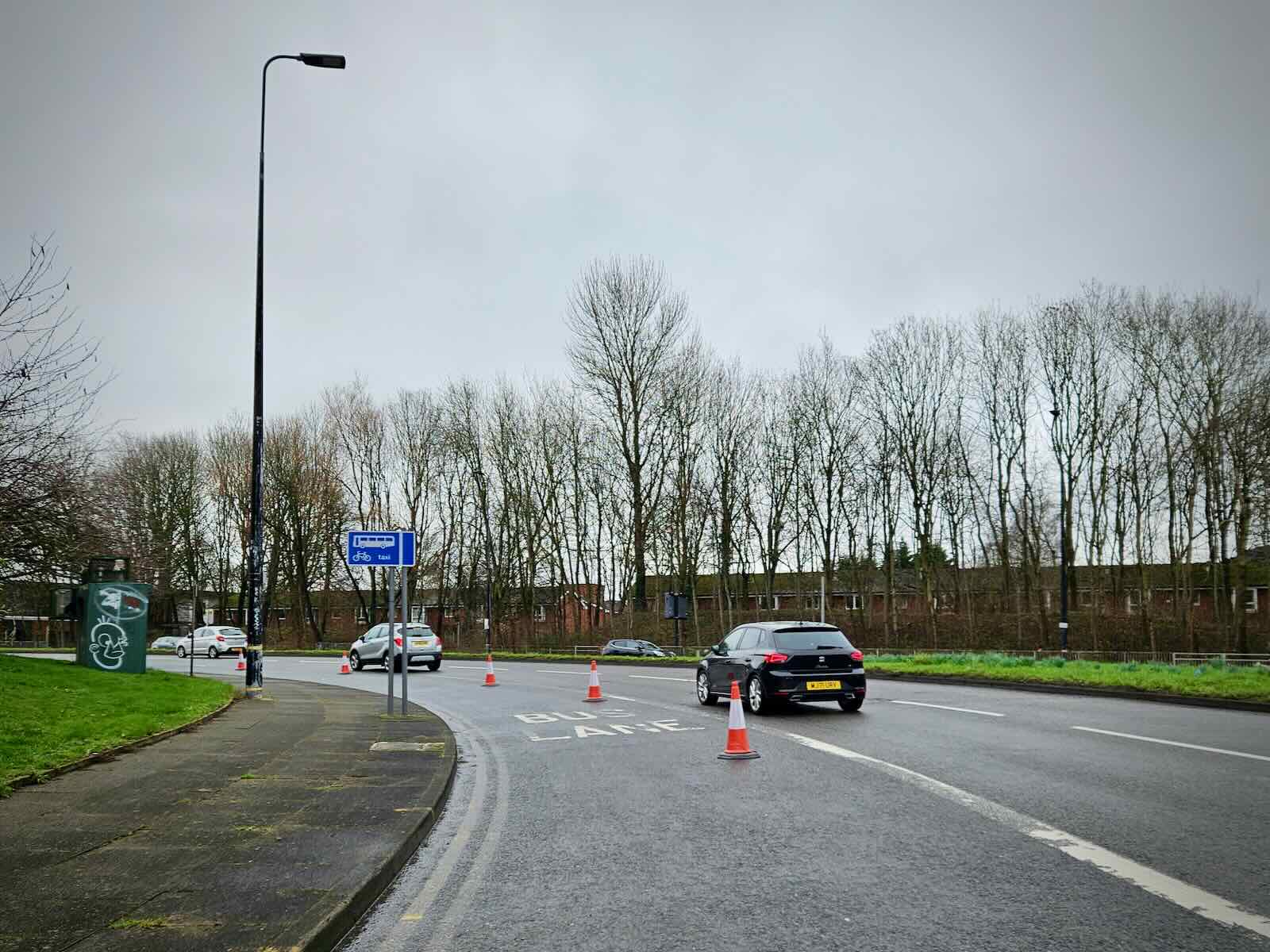 Cones continue after the gyratory
